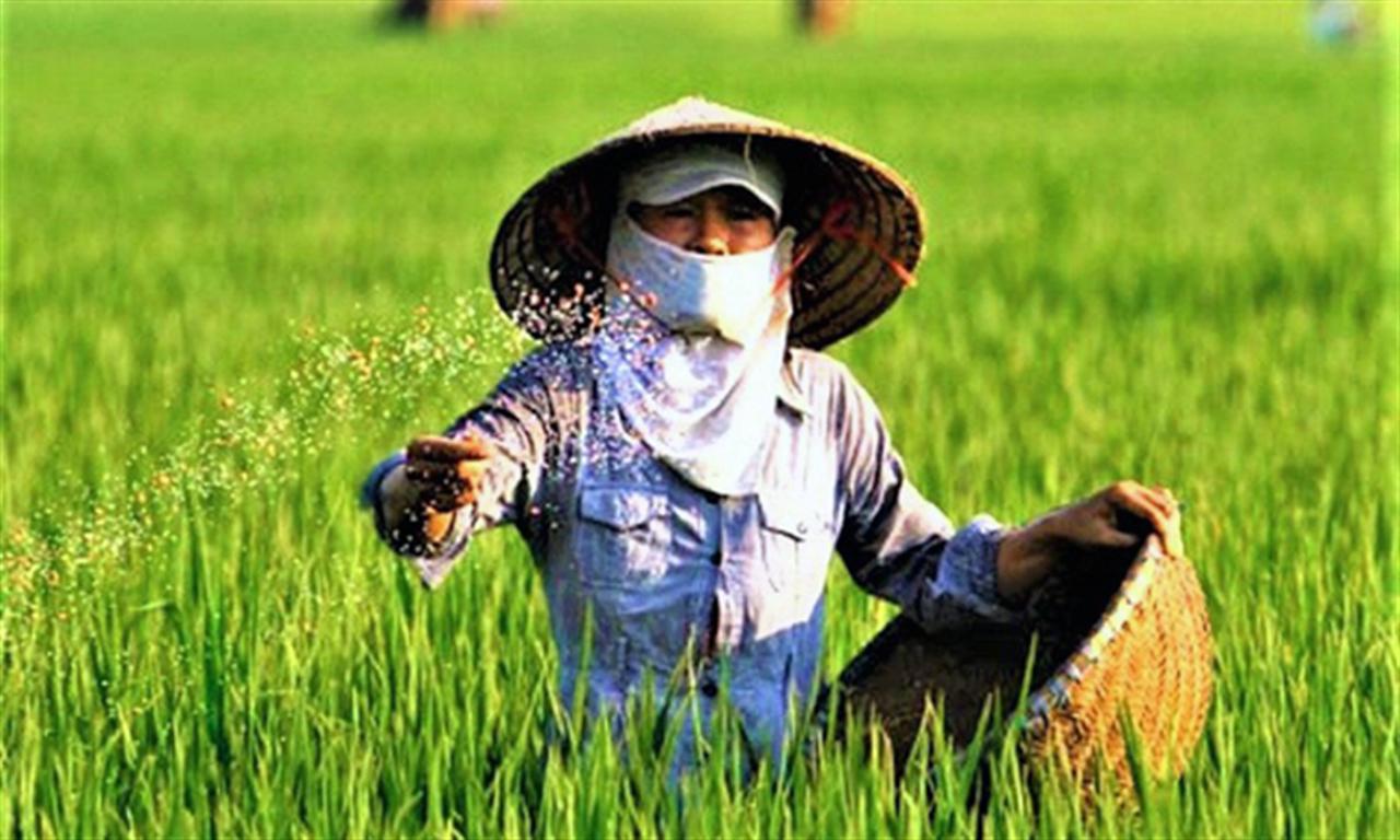 Kịch bản nào cho thị trường phân bón Việt Nam khi xung đột Nga - Ukraine tiếp diễn