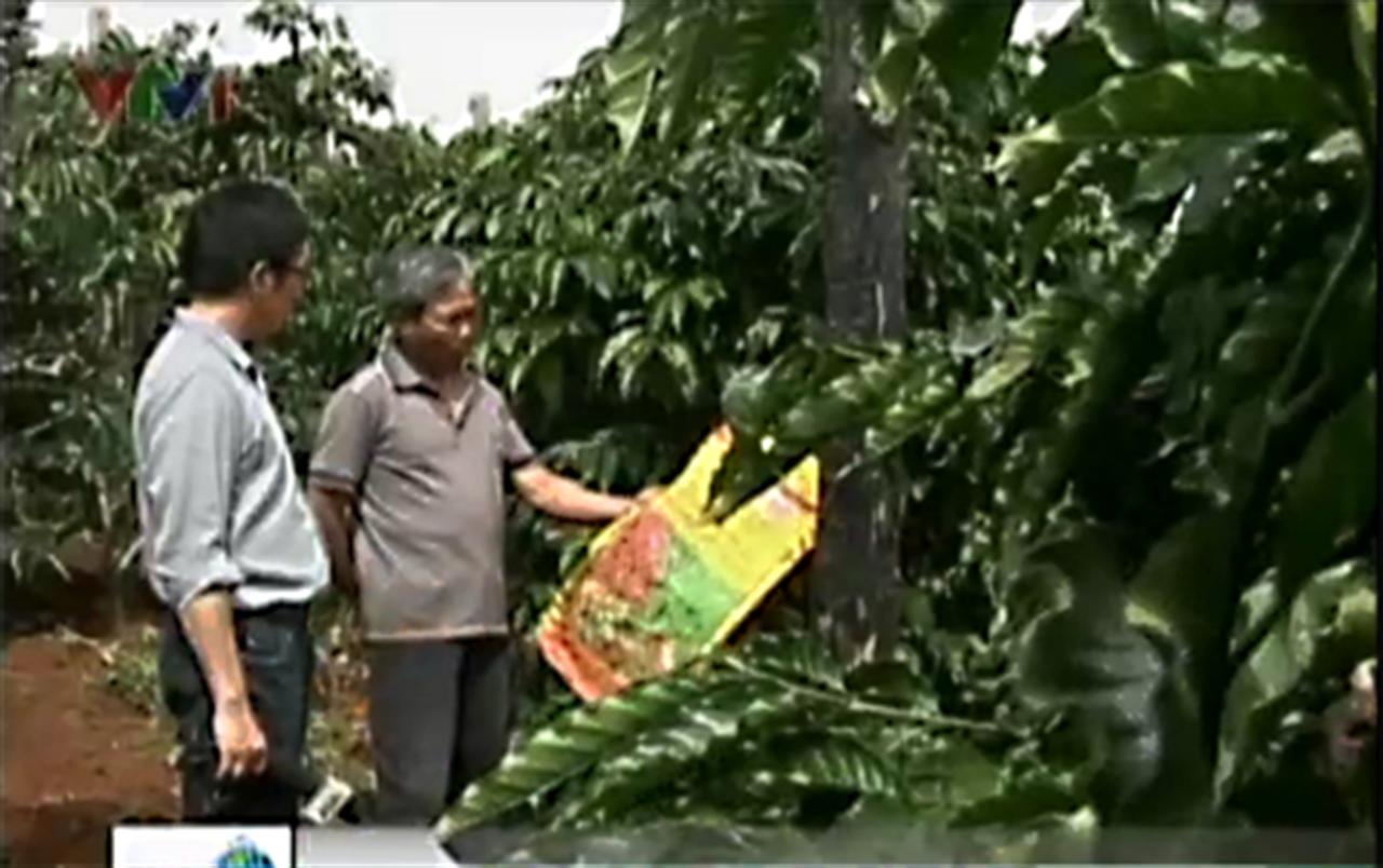 Phân bón kém chất lượng lũng đoạn thị trường Tây Nguyên