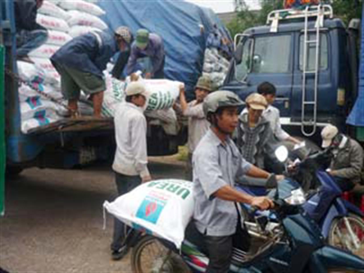 Thị thường phân bón không có nhiều biến động