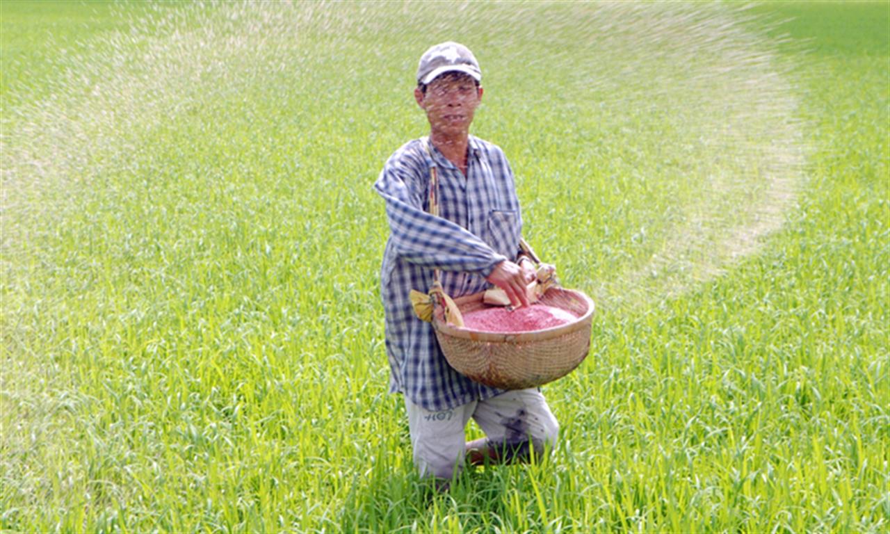 Thị trường phân bón những tháng cuối năm