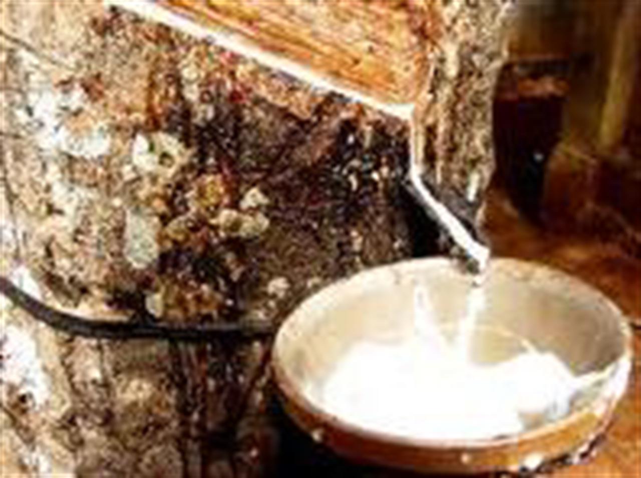 Thị trường cao su thế giới tháng 10/2010: giá tăng 5%