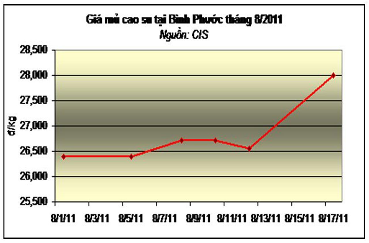 Giá cao su tăng cao giữa mùa thu hoạch