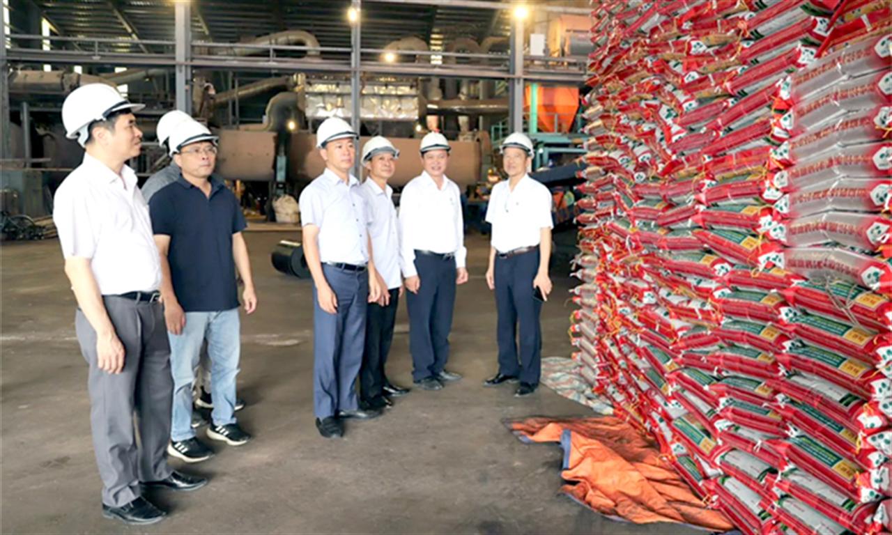 Dùng phân bón NPK-S Lâm Thao, bà con không lo lúa đổ rạp trong mùa mưa, năng suất tăng 1 tạ/sào