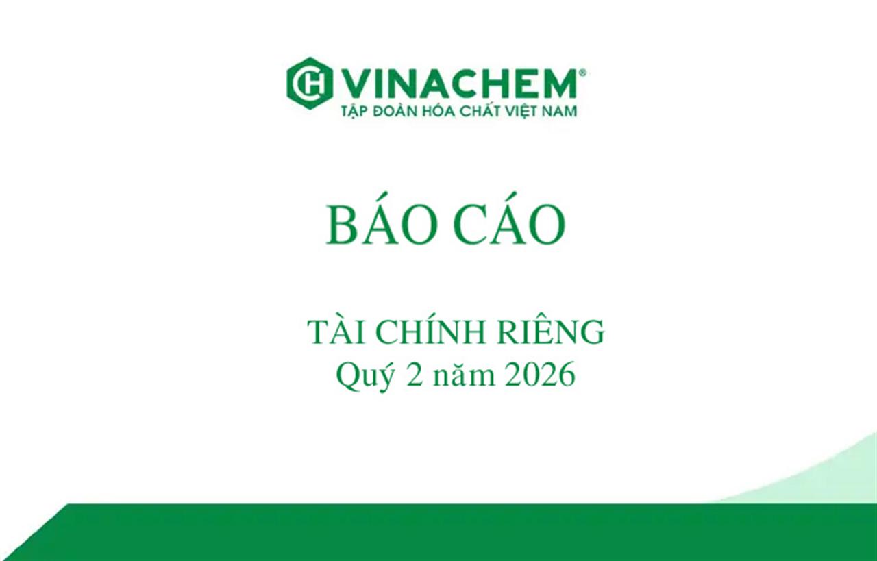Báo cáo tài chính riêng quý 2 năm 2026