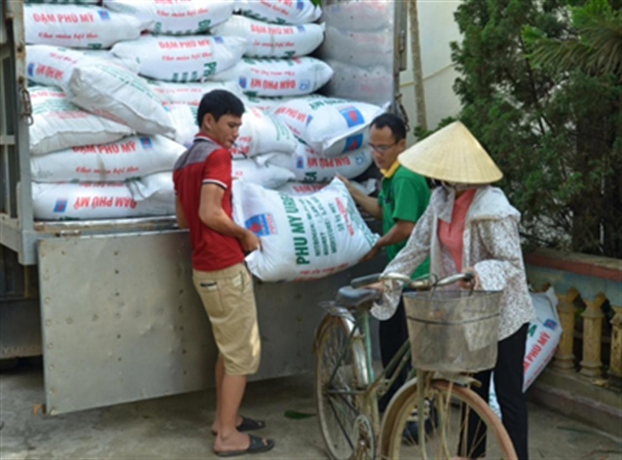 Thị trường phân bón vụ đông xuân 2015-2016: Nguồn cung dồi dào, giá cả ổn định