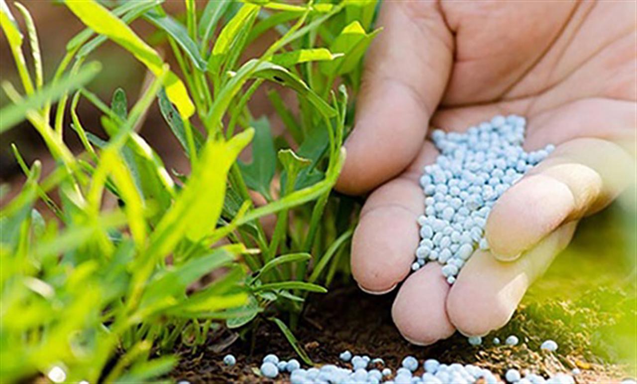 Phosphate fertilizers market expected to observe growth at CAGR of 5.5%
