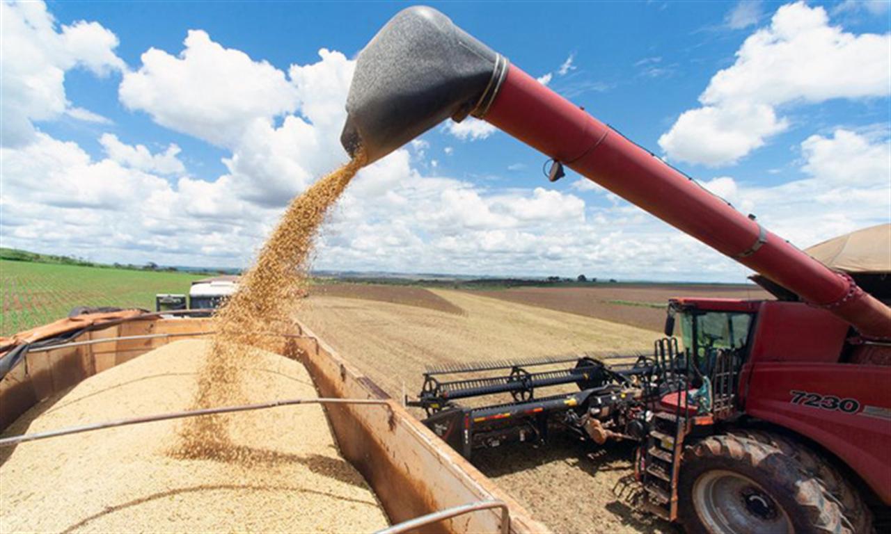 Nông dân Nhật Bản gặp khó vì giá phân bón, ngũ cốc tăng mạnh