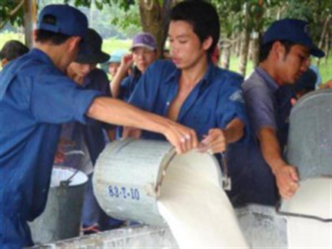 Giá dầu thô hồi phục đẩy giá cao su tăng hơn 3%