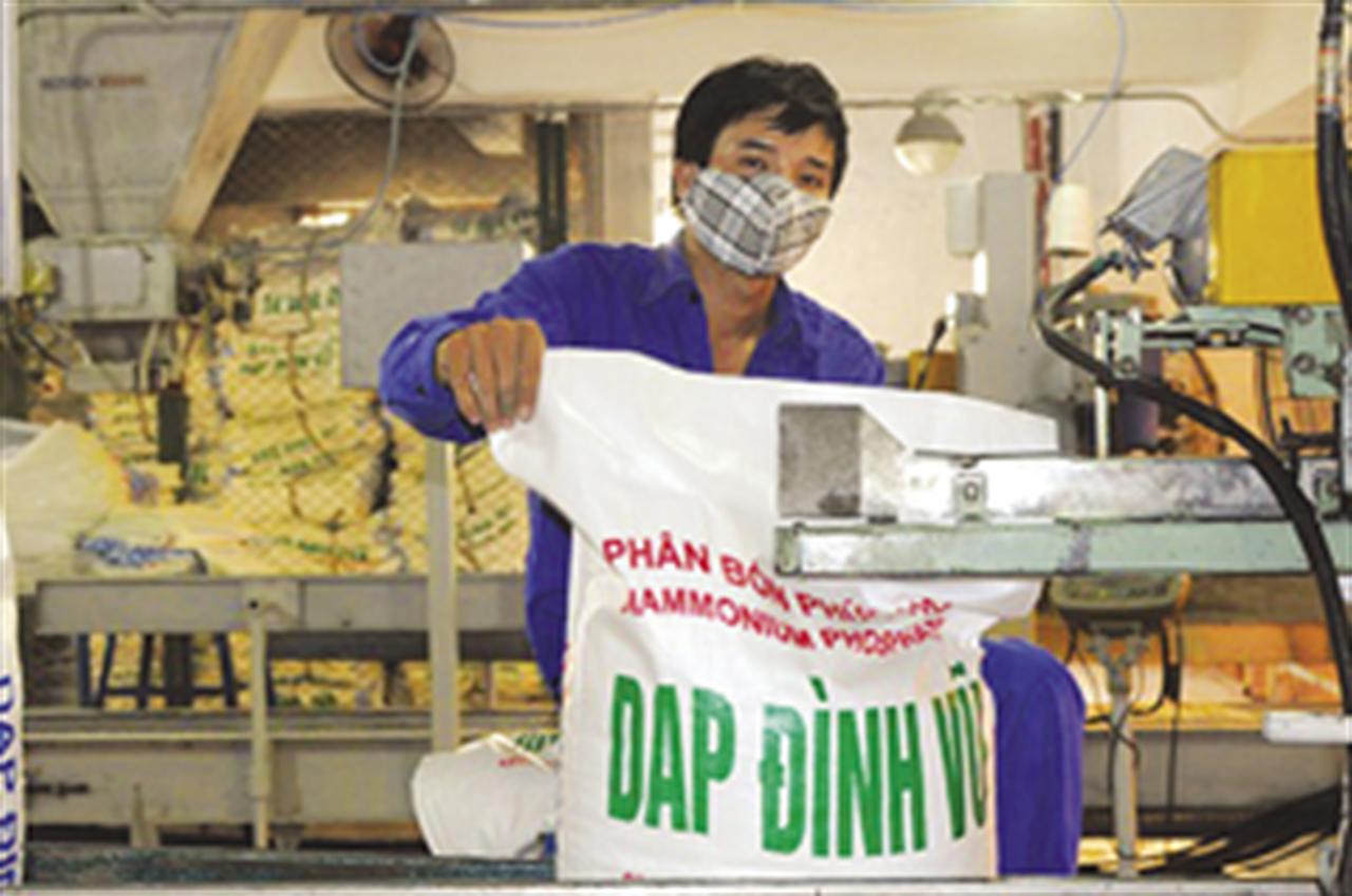 Phân DAP Đình Vũ mang lại năng suất, chất lượng cao