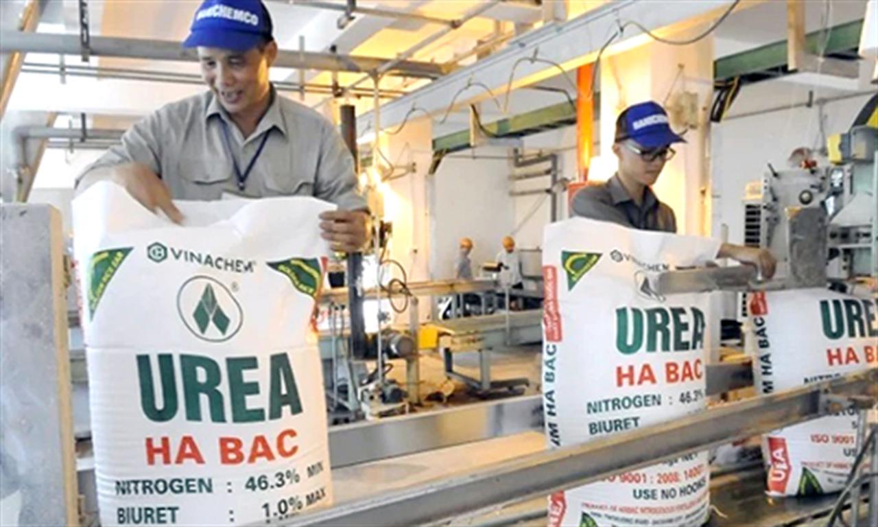 Thuế xuất khẩu làm suy giảm sức cạnh tranh ngành phân bón