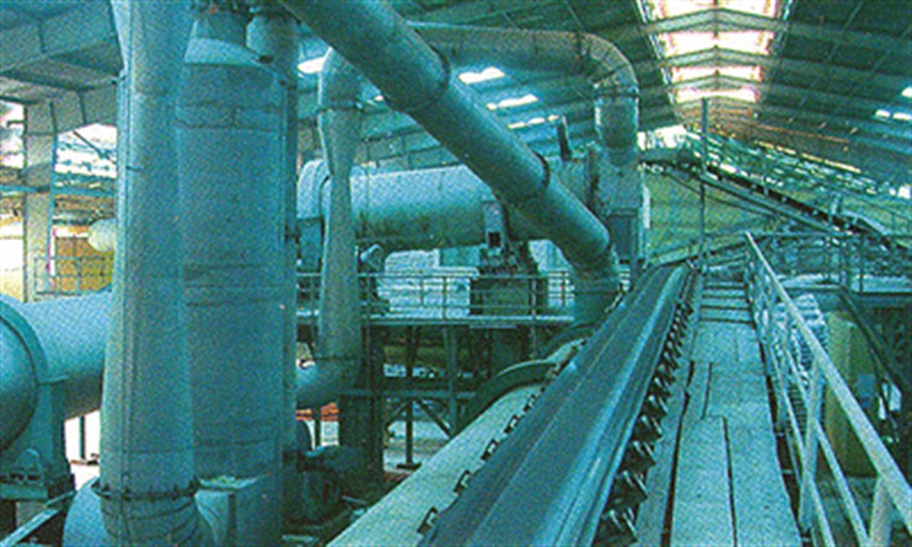 Bình Điền đồng hành cùng nông dân sản xuất cà phê bền vững