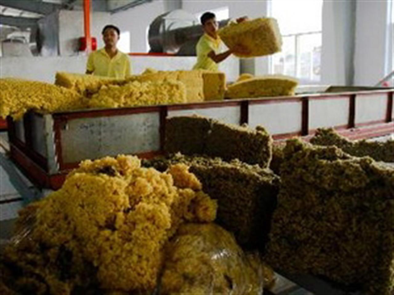 Giá cao su giảm trên 4%