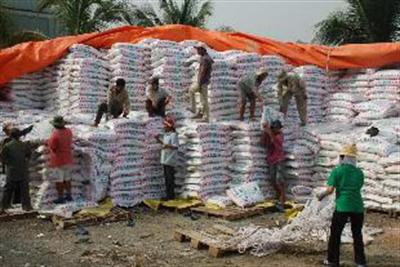 Thị trường phân bón trong nước đến ngày 17/02/2012