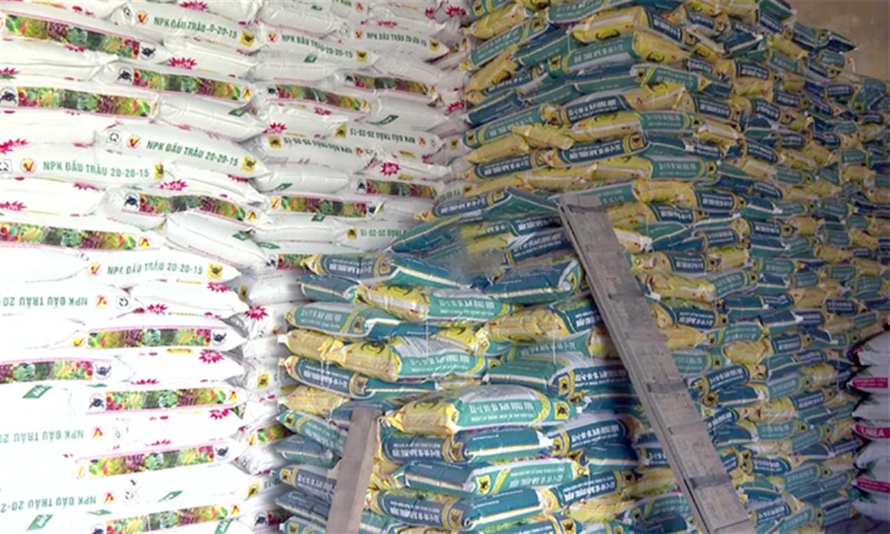 Phân bón chiếm 50% chi phí vật tư nông nghiệp, nông dân thấp thỏm nỗi lo thua lỗ