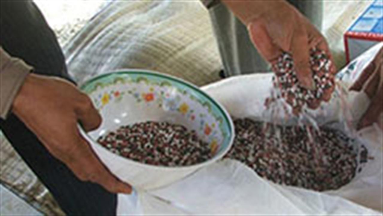 Tăng cường phòng chống sản xuất kinh doanh phân bón giả