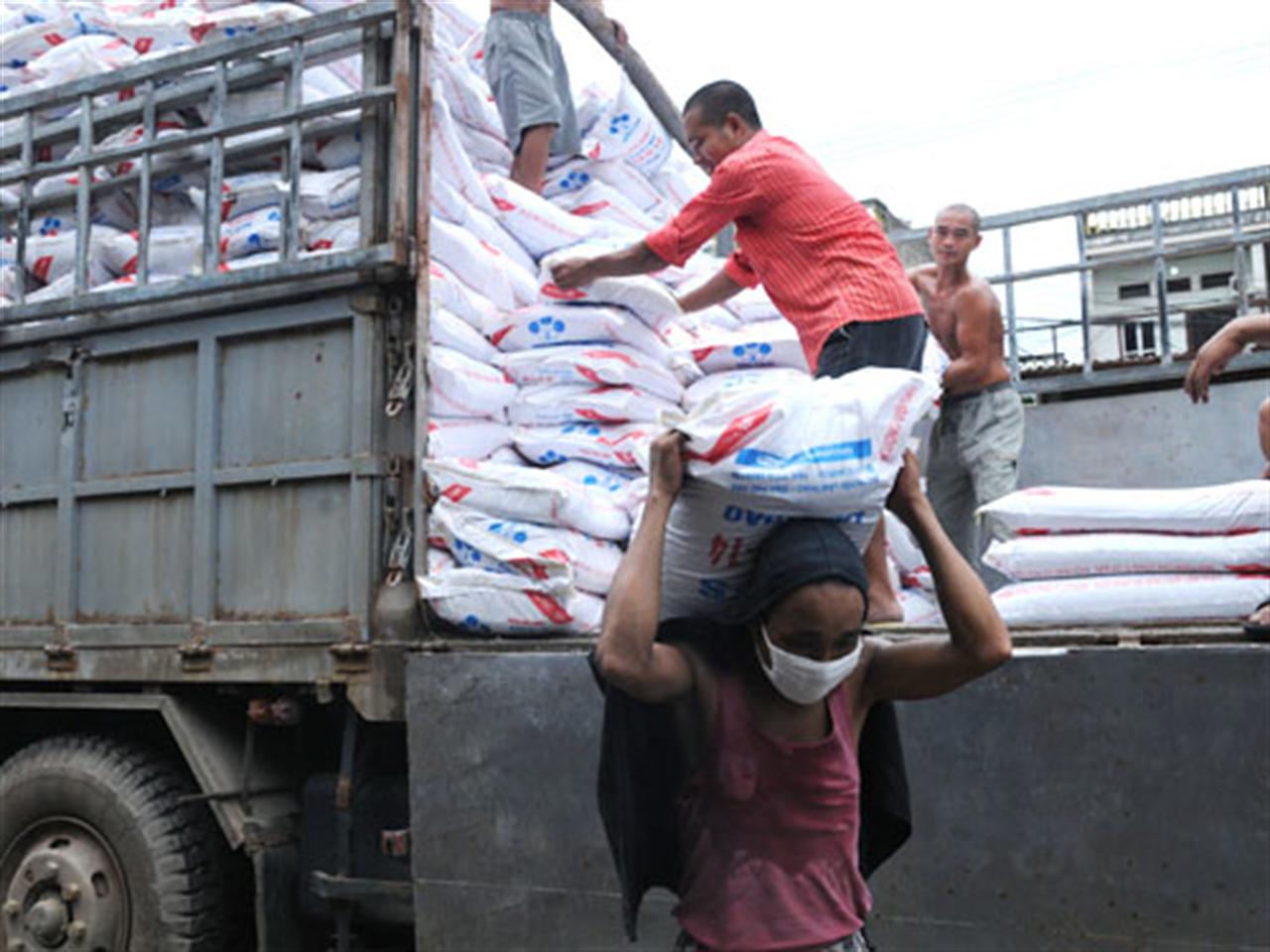 Tăng cường kiểm soát, ngăn chặn phân bón giả