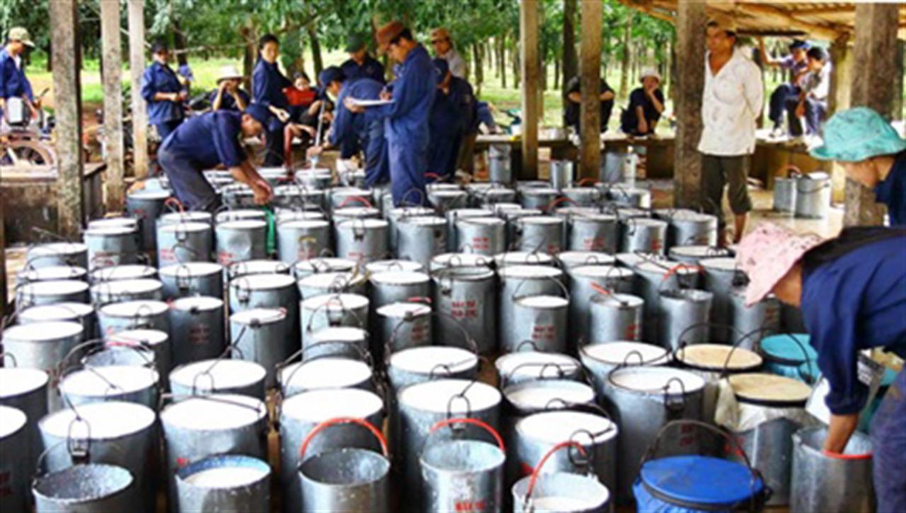 Rubber sales fall in tough year