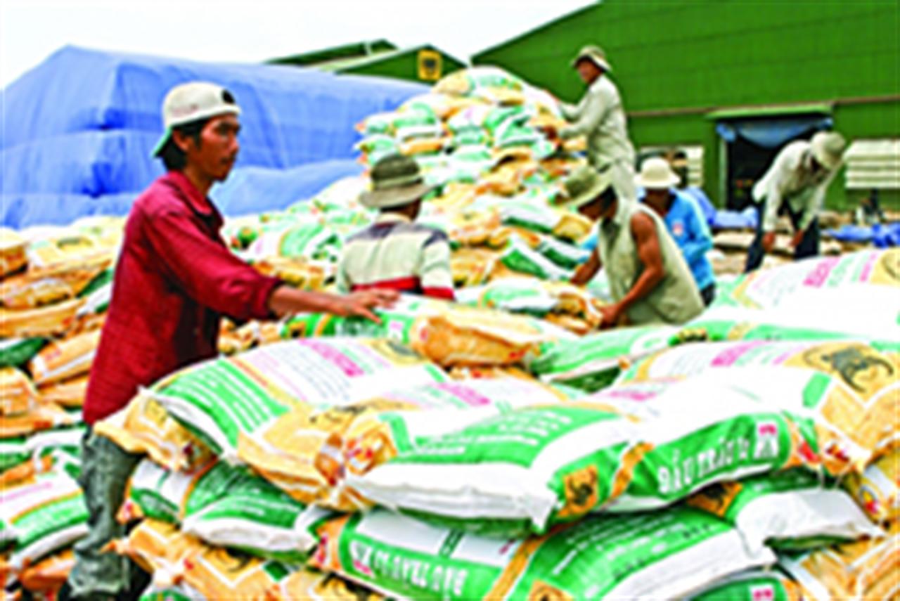 Cần gỡ nút thắt Luật thuế 71 cho ngành phân bón