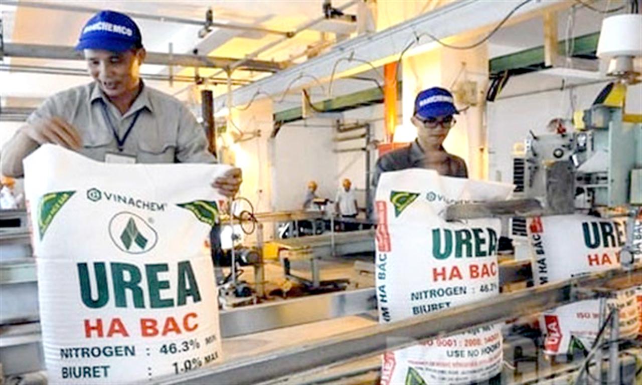 Đạm Hà Bắc (DHB): Lợi nhuận sau thuế quý 3 gấp 3 lần cùng kỳ, 9 tháng đạt 1.700 tỷ đồng