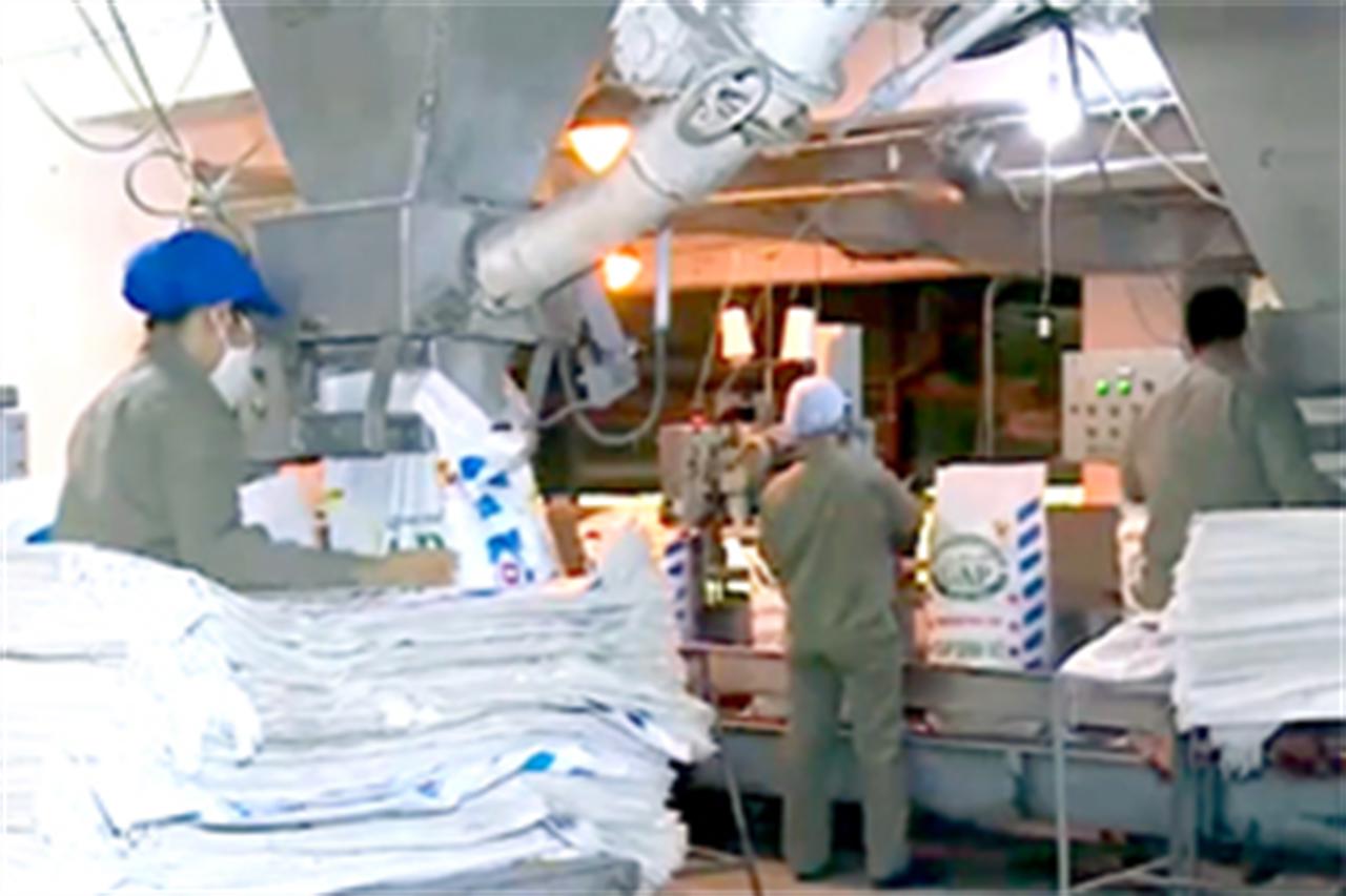 Tạm ngừng xuất khẩu có bình ổn được giá phân bón?