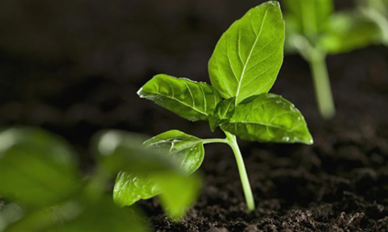 Solutions for businesses moving towards net zero