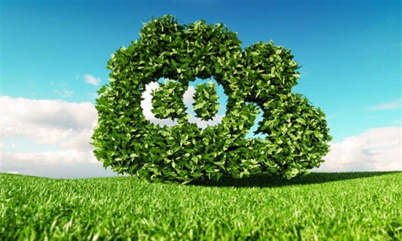 Why EU Carbon Border Tax Will Lead to Market Destabilization, Higher Prices & Inflation