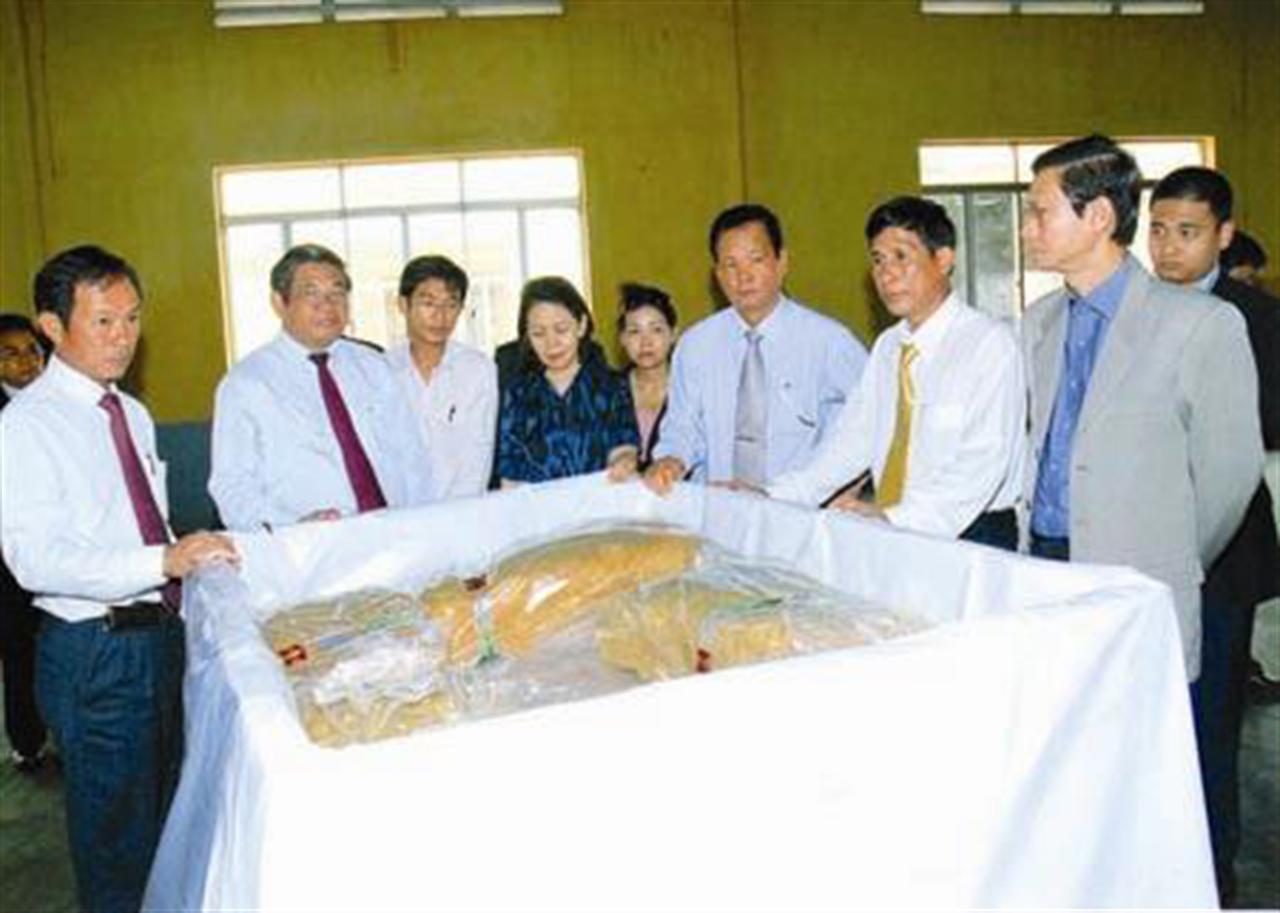 Thị trường cao su dần sáng sủa