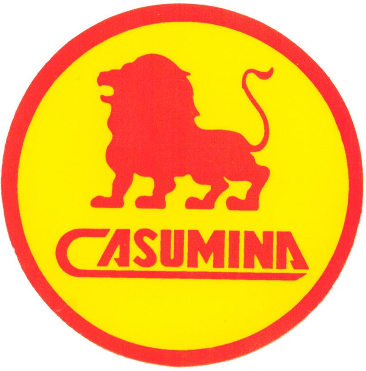 Casumina xây dựng nhà máy sản xuất vỏ ô tô