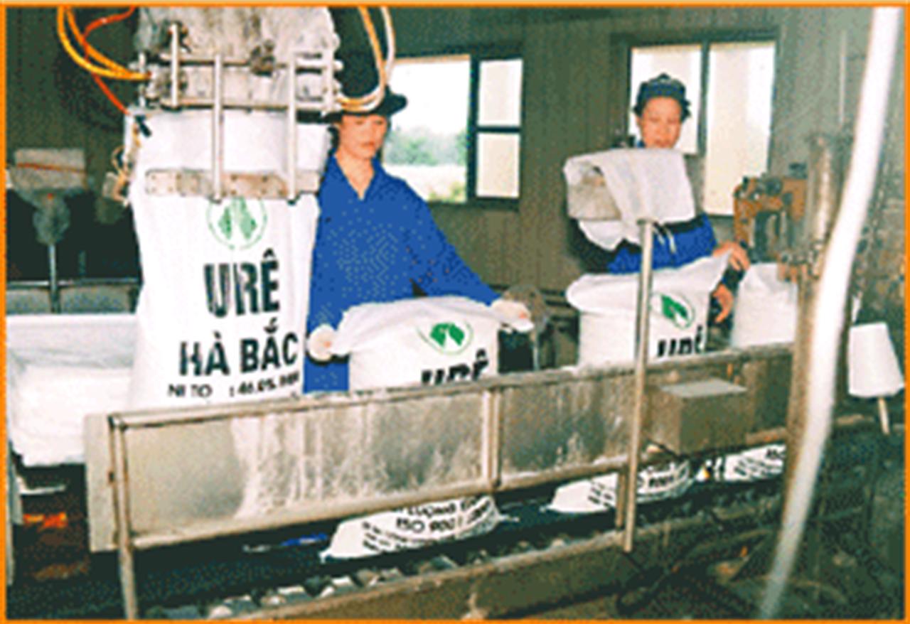 Triển vọng thị trường phân bón trong nước và thế giới