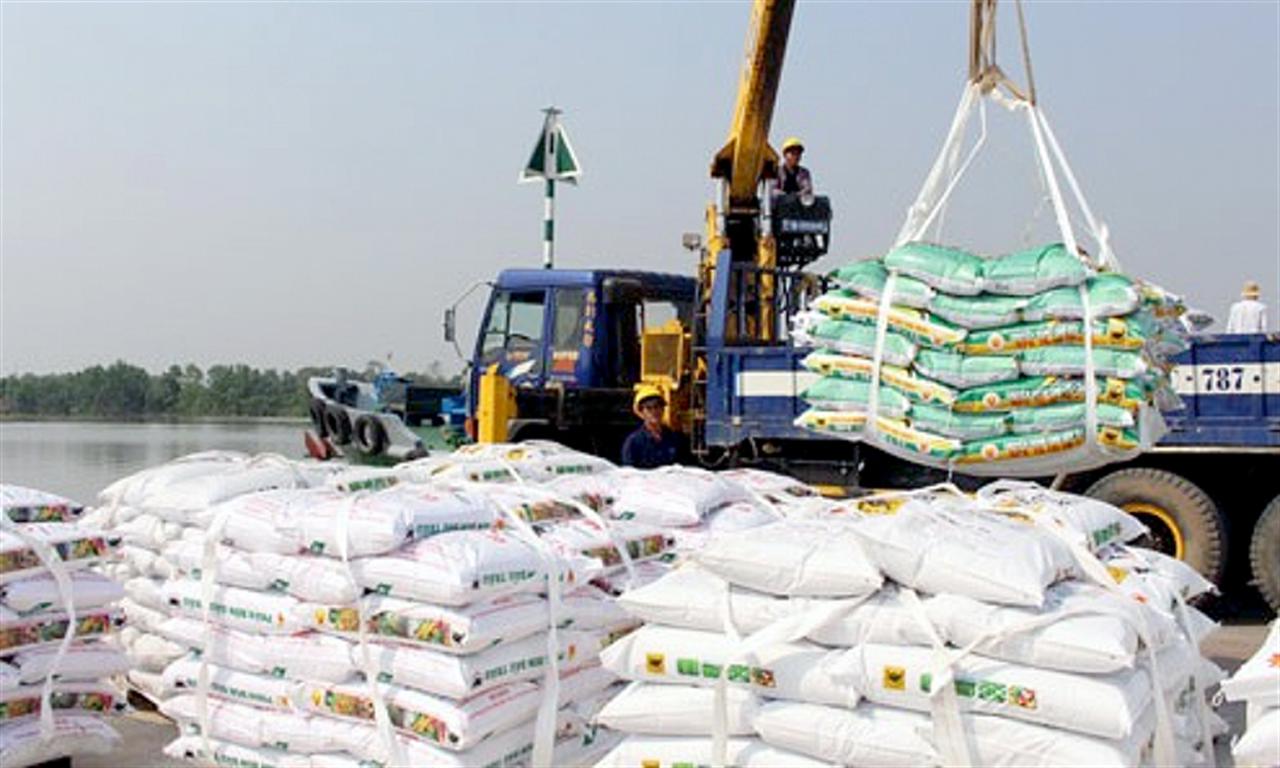 Thị trường xuất khẩu phân bón 8 tháng năm 2022