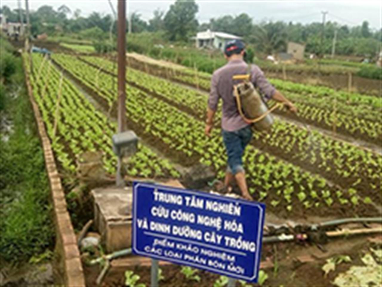 Hết thời hạn công nhận lưu hành cho phân bón, nhiều đơn vị vẫn lúng túng