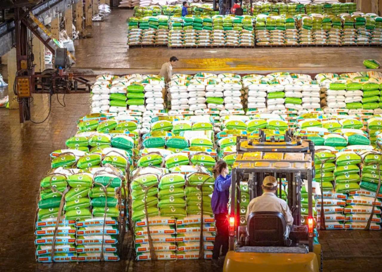 Nhập khẩu phân bón tăng mạnh, giá ổn định hỗ trợ sản xuất nông nghiệp