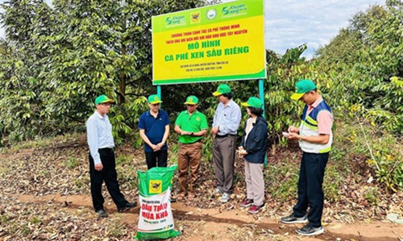 Hiệu quả bước đầu của mô hình canh tác cà phê thông minh, thích ứng với biến đổi khí hậu khu vực Tây Nguyên