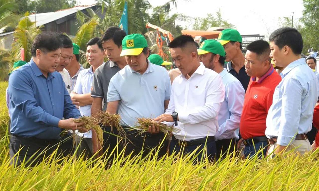 Canh tác lúa giảm phát thải: Hành trình nâng cao giá trị hạt gạo Việt