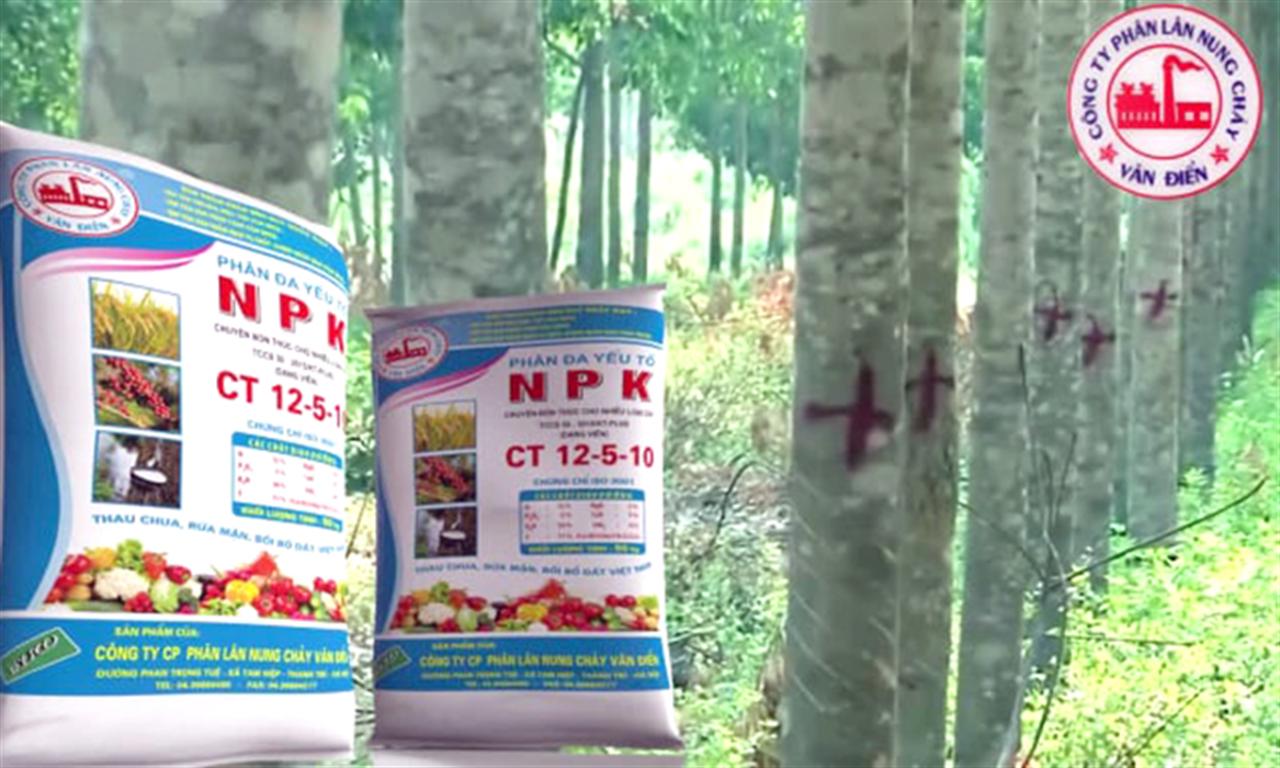 Phân bón Văn Điển: Chìa khóa nâng giá trị nông sản