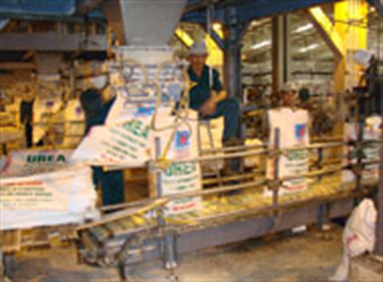 Tăng cường sản xuất và kiểm tra dự trữ phân bón