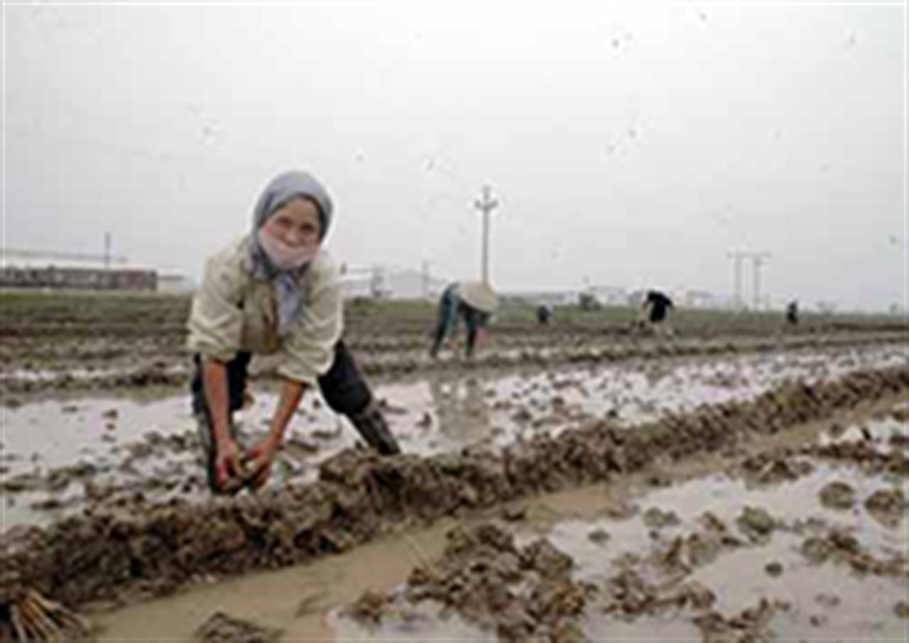 DN sốt ruột, nông dân lo thiếu phân bón vụ xuân vì… cấm đường