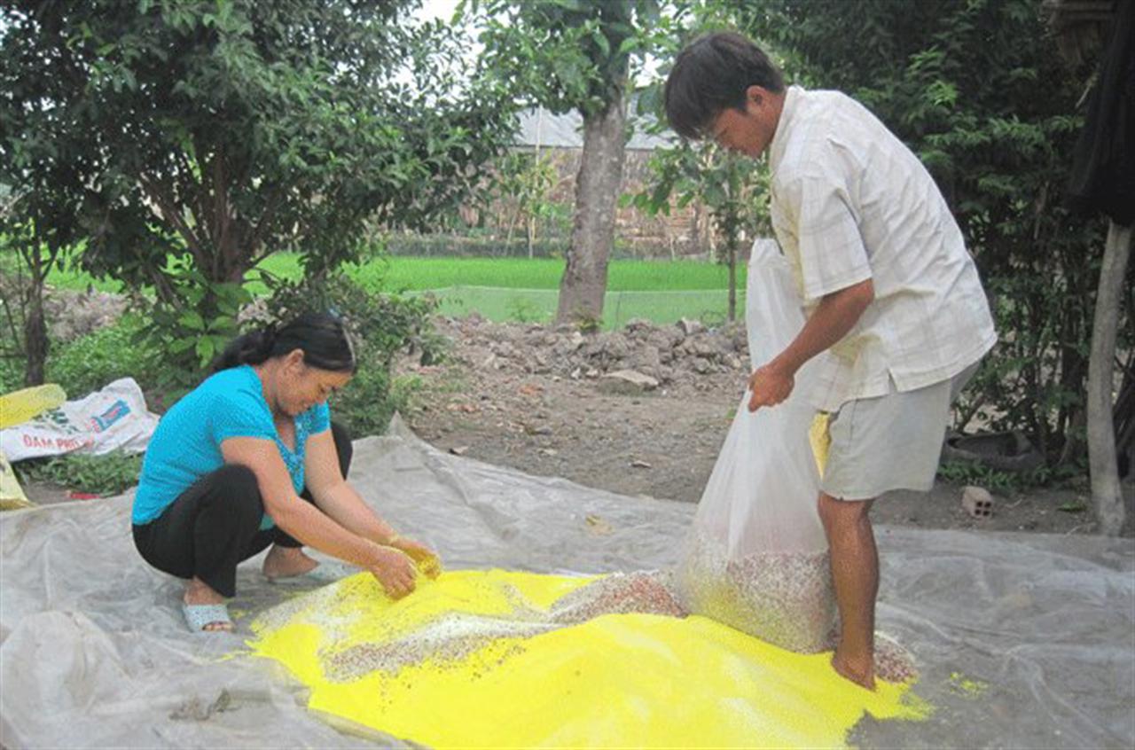 Giá phân bón bắt đầu hạ nhiệt