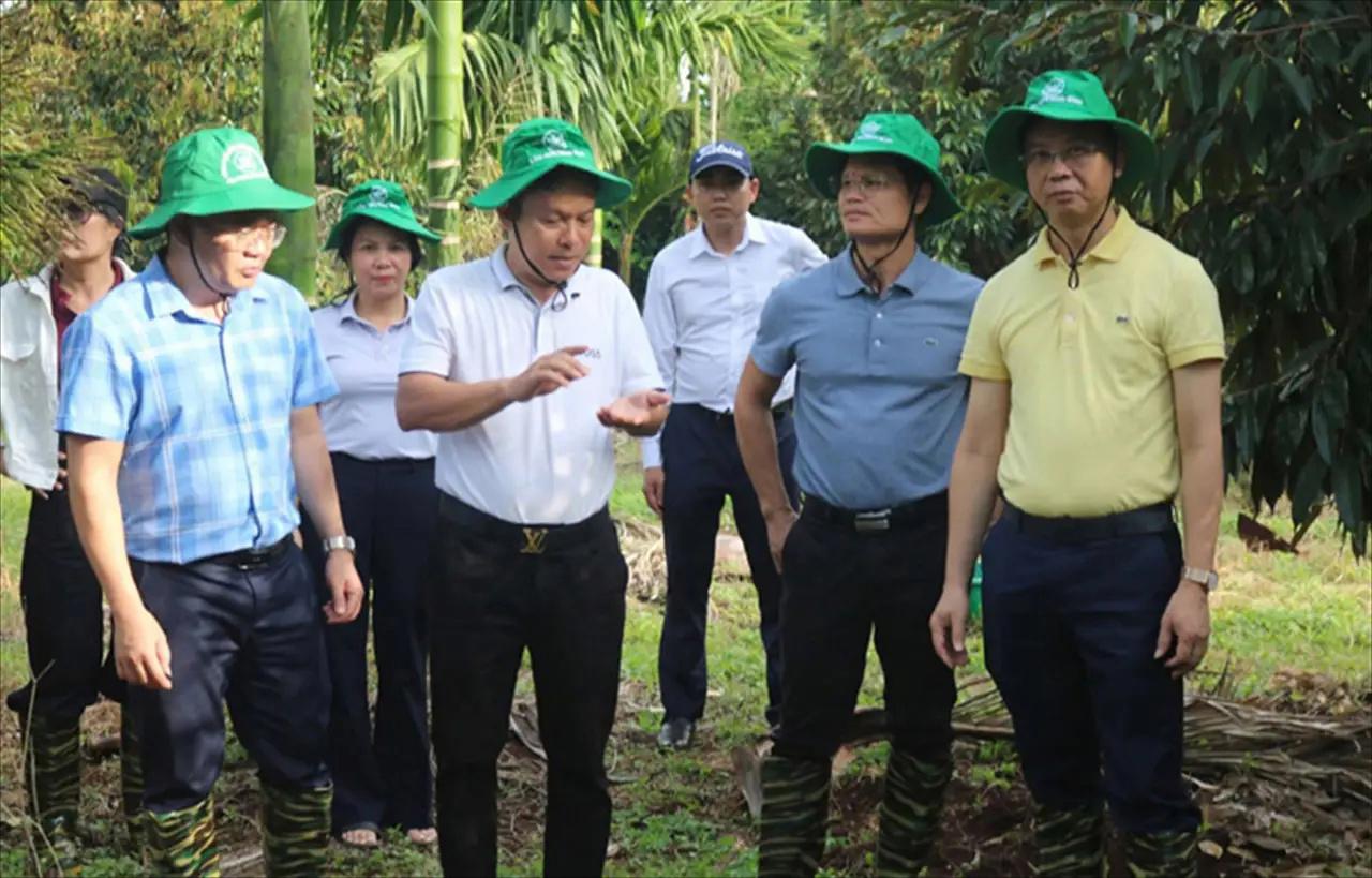 NIFERCO Engages with Farmers at the Dak Lak Durian Festival 2026