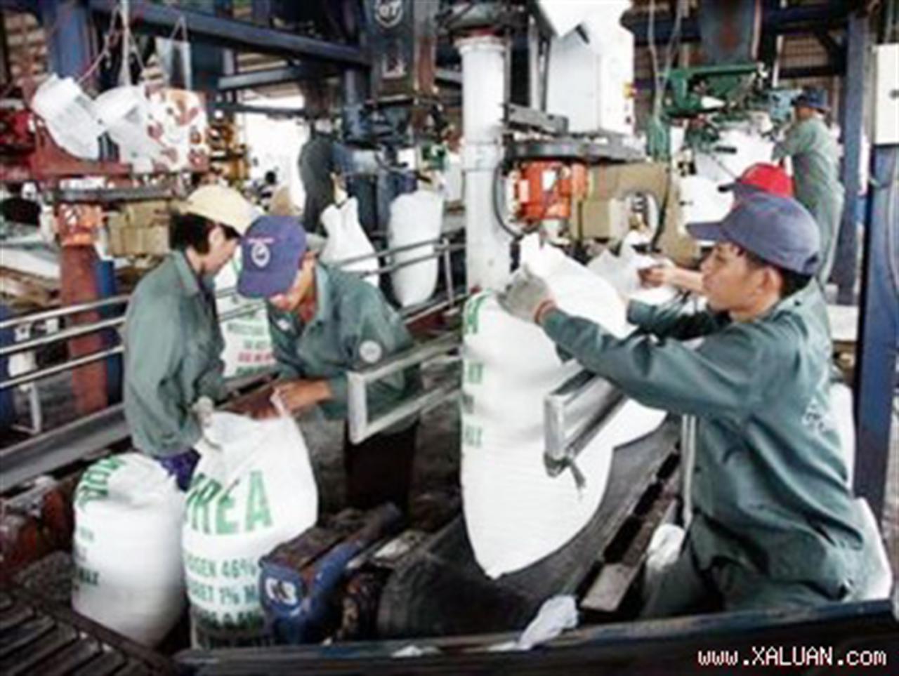 Thị trường ure thế giới có xu hướng chững lại không duy trì được mức tăng như tại các tuần trước.