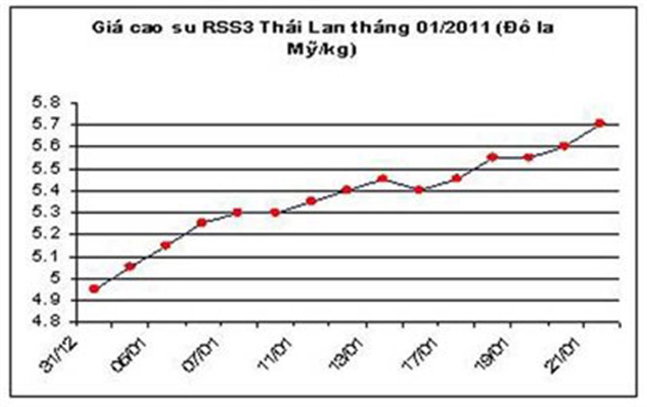 Giá cao su không ngừng tăng