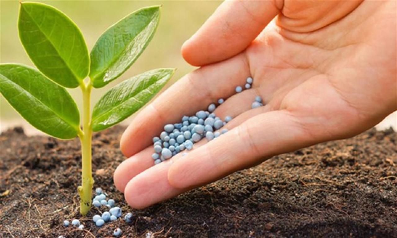 Phân bón xuất khẩu 2 tháng đầu năm 2025 giảm cả lượng, kim ngạch và giá