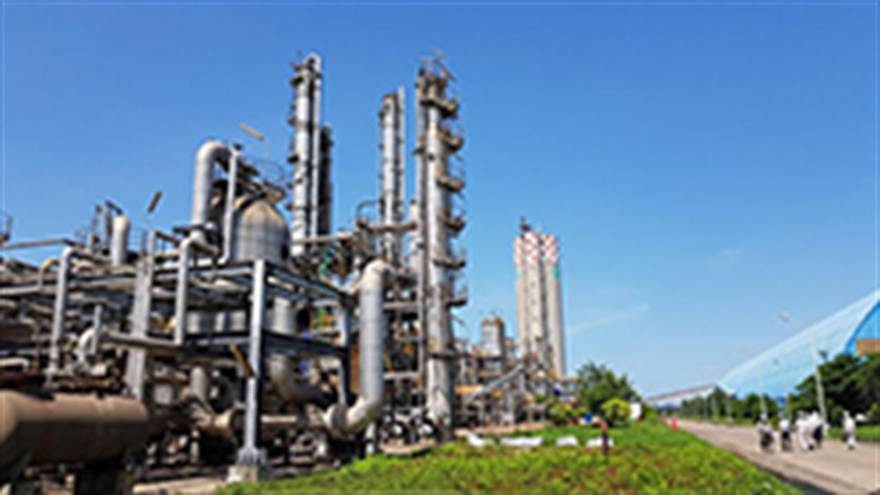 Đạm Ninh Bình - Những dự cảm mới ghi nhận được từ thực tế