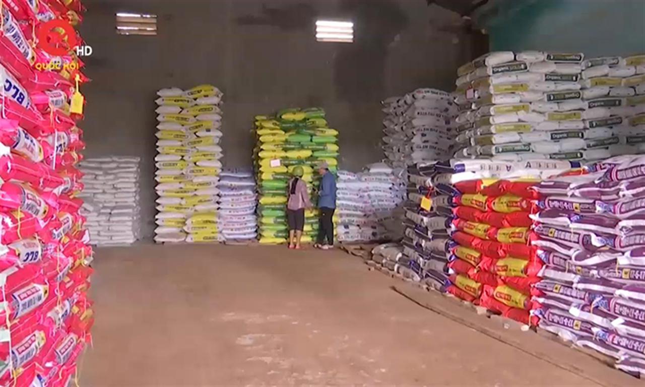 Phân bón và câu chuyện “cân - đong - đo - đếm”