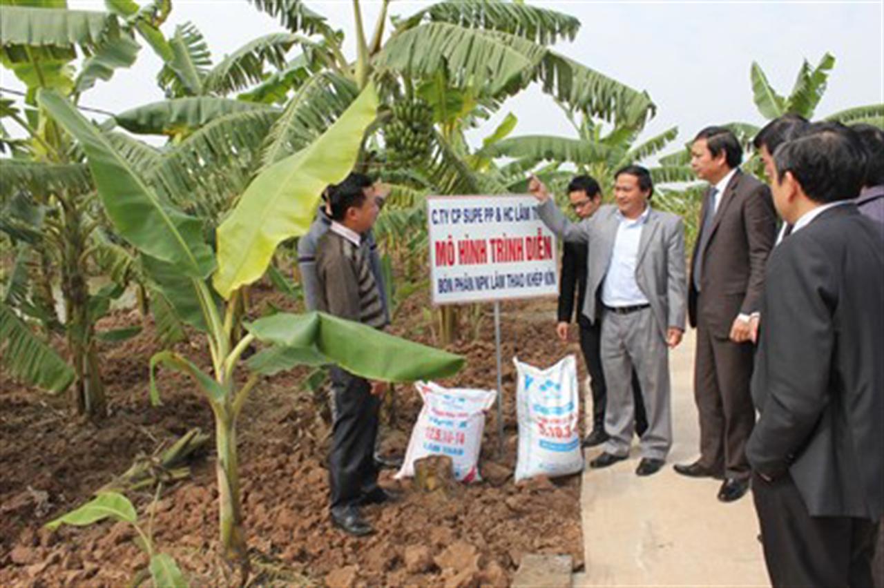 Ngọn cờ đầu trong ngành sản xuất kinh doanh phân bón, hóa chất Việt Nam