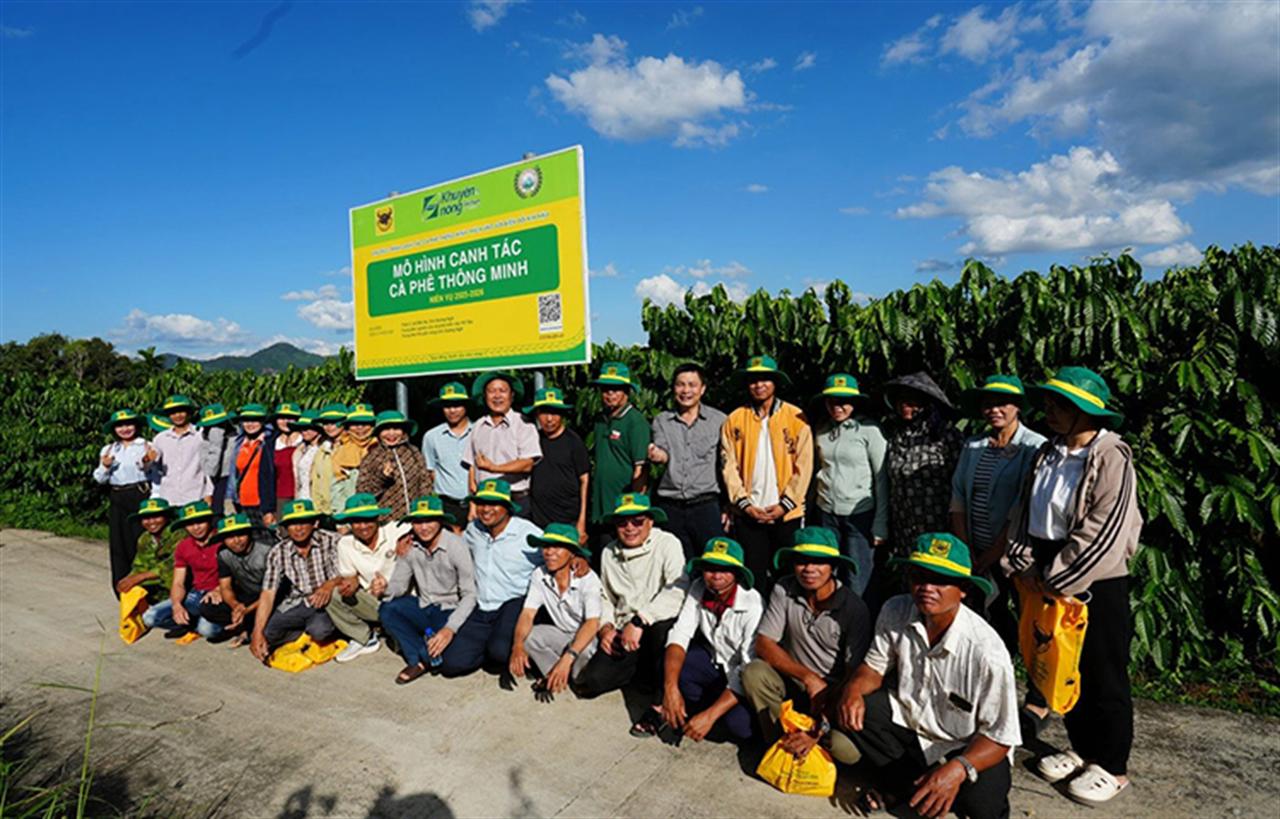Canh tác cà phê thông minh tại Đắk Hà: Cây khỏe, giữ quả tốt, giảm phát thải