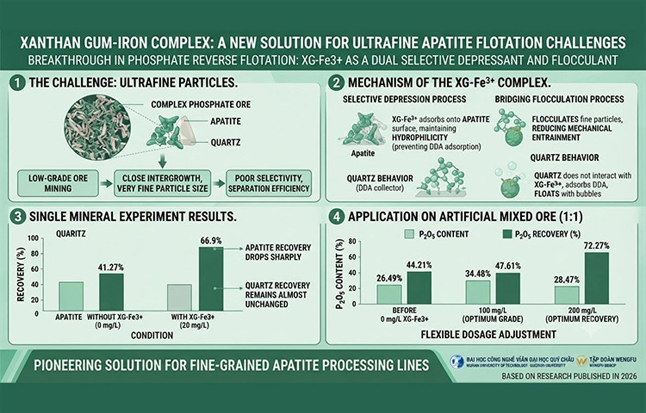 Xanthan Gum-Iron Complex: A New Solution for Ultrafine Apatite Flotation