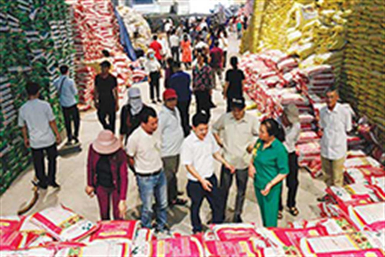 Supe Lâm Thao đẩy mạnh bán phân bón chậm trả cho nông dân Hải Phòng