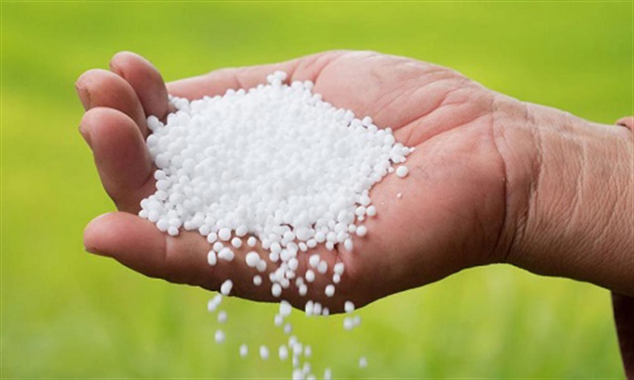 Nhu cầu phân đạm trên thế giới tiếp tục tăng