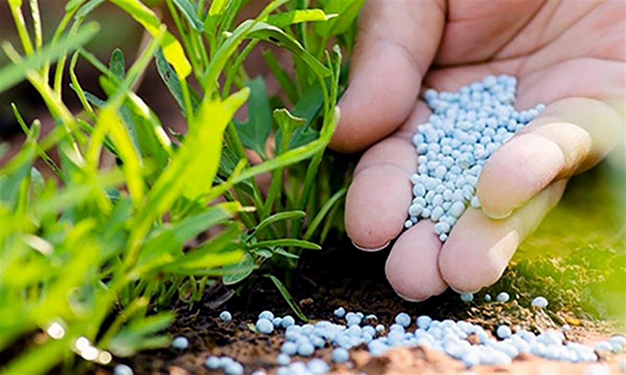 Đề xuất áp thuế xuất khẩu 5% với các loại phân bón, riêng NPK còn 0% do "dư thừa"